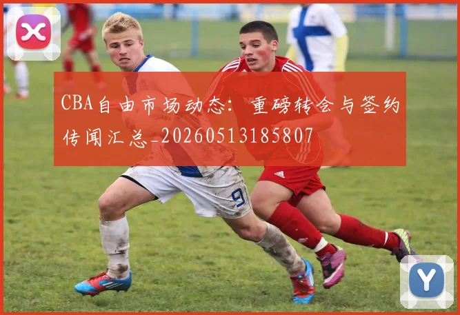 CBA自由市场动态：重磅转会与签约传闻汇总_20260513185807