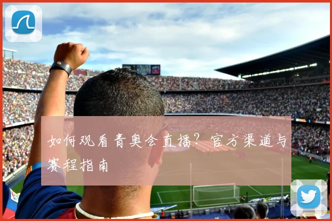 如何观看青奥会直播?官方渠道与赛程指南