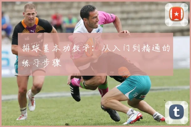 排球基本功教学：从入门到精通的练习步骤