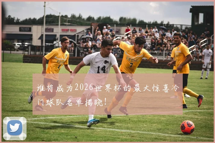 谁将成为2026世界杯的最大惊喜冷门球队名单揭晓！