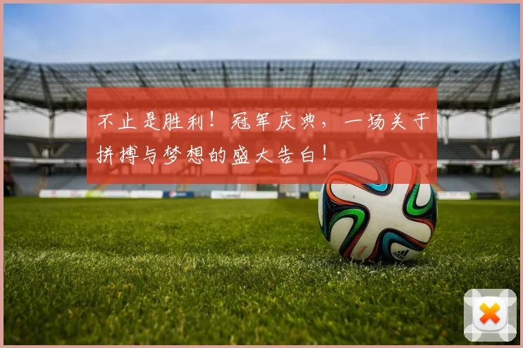 不止是胜利！冠军庆典，一场关于拼搏与梦想的盛大告白！